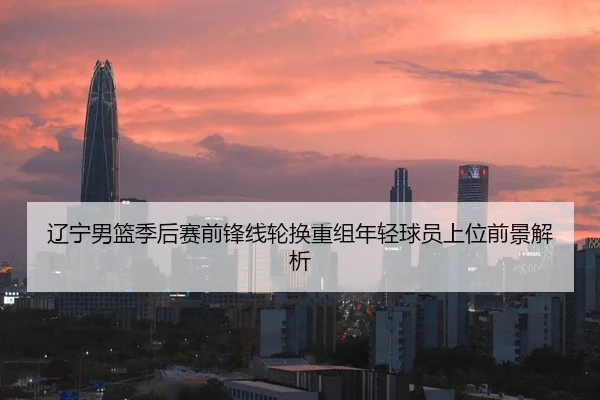 辽宁男篮季后赛前锋线轮换重组年轻球员上位前景解析